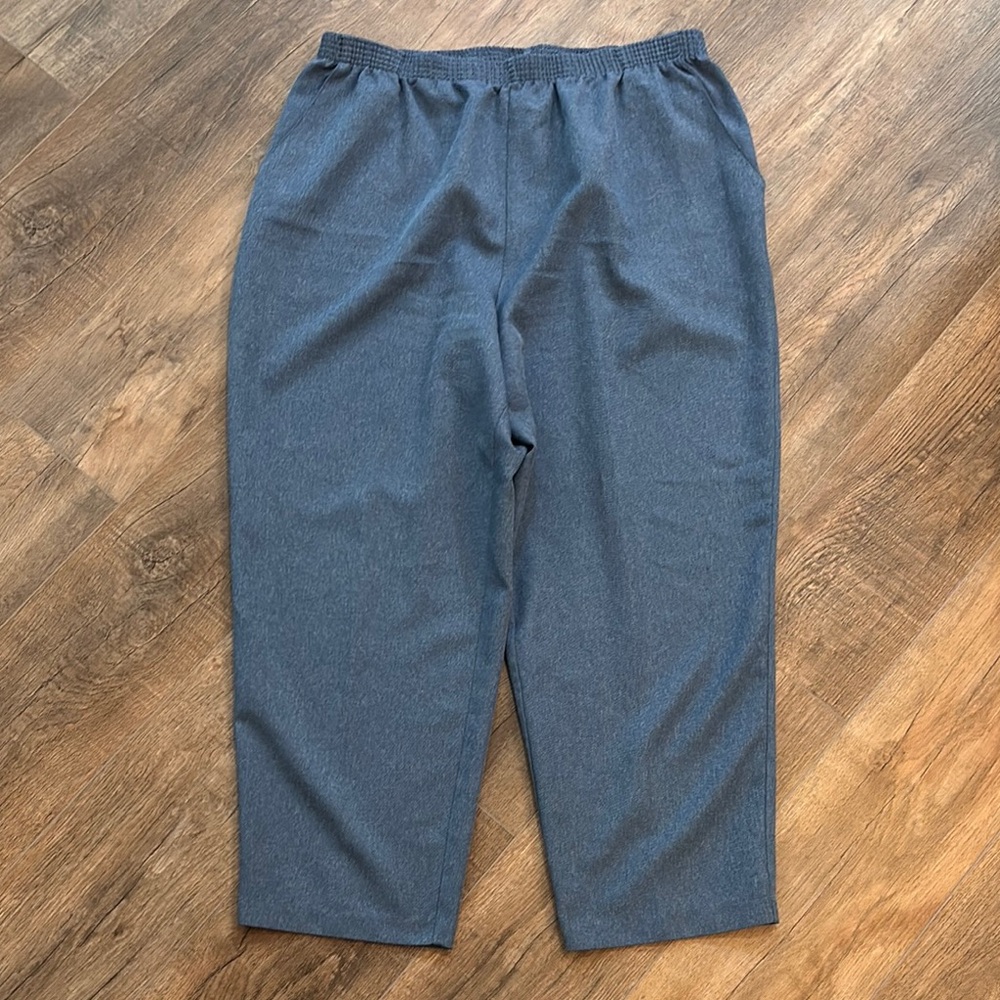 Briggs New York Women’s Size 24W Blue Trousers Elastic Waist Relaxed Fit